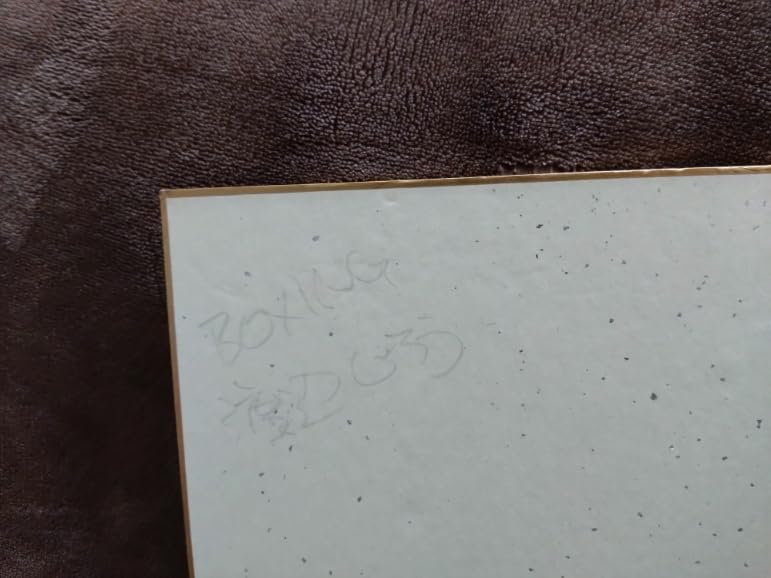 Amazon.co.jp: 渡辺二郎元WBC世界ジュニアバンタム級