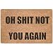 ChezMax Non-slip Doormat Coral Fleece Indoor Outdoor Kitchen Floor Rug Front Door Mat Funny Flannel Carpet 23.62" X 15.74"