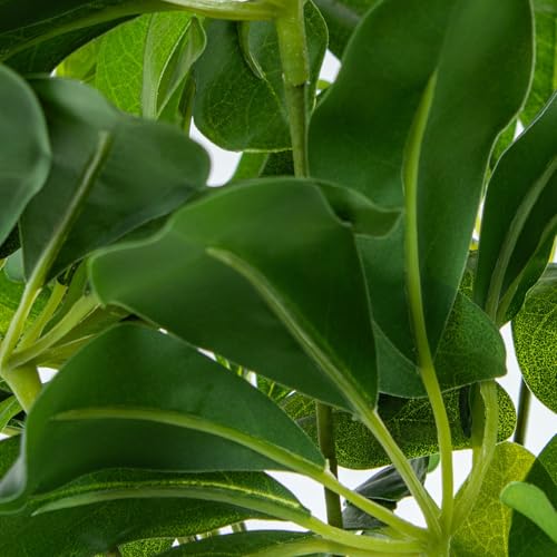 Schefflera en PU vert DRW 155 cm haute qualité décorative - 4