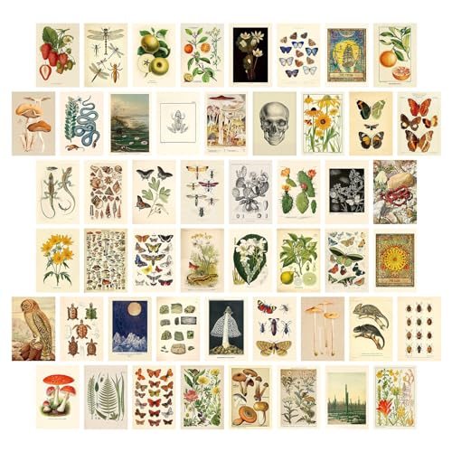Dazzlewall 50PCS Kit de Collage Mural Vintage Images Esthétiques pour Chambre Salon Dortoir Décoration Murale Botanique Vintage Poster 4x6in Impression...