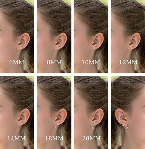 Staligue G23 Titanium Hoop Earrings For Women Men Small Endless Hoop Earrings Hypoallergenic Cartilage Hoop Earrings (Inner Diameter: 8Mm, Silver) #TOP6