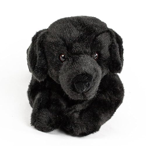 Teddys Rothenburg Kuscheltier Labrador liegend schwarz 40 cm Plüschtier Plüschlabrador