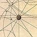 The Stellar Sea