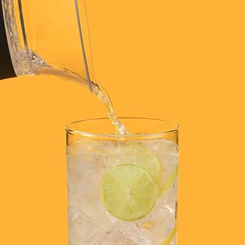 CreamRight Fizi 0.6L CO2 Cylinder for Soda Maker | Screw-In | Pack of 2