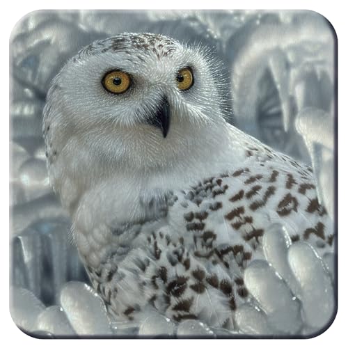 3D LiveLife Cork Coaster - Snowy Owl from Deluxebase. Drinks Coaster with Lenticular 3D Animal Image. Non-Slip Protective Table Drink Mat for Home Decor and Decorative Accessories.