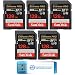 SanDisk 128GB SD Extreme Pro Memory Card (Five Pack) Works with Digital DSLR Camera 4K V30 UHS-I Class 10 (SDSDXXD-128G-GN4IN) Bundle with 1 Everything But Stromboli 3.0 Micro & SD Card Reader