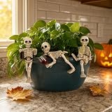 MUJERWQ 3PC Halloween Skull Decoration Set - Suitable for Indoor flowerpots, Fish Tanks, and Water Cups. Ideal for Halloween Party Scene Setup