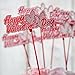 Factory Direct Craft® Group of 12 Red and Iridescent Glitter Script "Happy Valentine's Day" Embellishing Picks for Valentines Day and Crafting