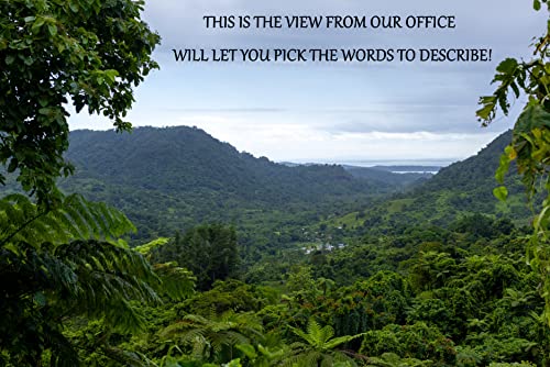 Heritage Kava Premium Fiji Noble Kava Root Powder (8 Oz) #TOP6