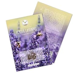300x Lavendel Samen mit hoher...