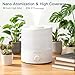 MegaWise Ultrasonic Cool Mist Humidifier | Quiet Operation, Top Fill, Auto Shut-Off | Ideal for Bedroom, Baby Room, and Plants (3.5 L)