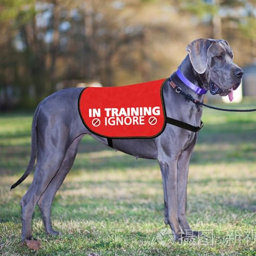 In Training Ignore Dog Jacket Vest Nervous Anxious Dog In Training Slogan Warning Vest(L), In Training Ignore L, In Training L - Image 3