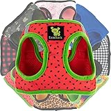 EcoBark Step in Dog Harness Reflective Soft Ultra Padded Mesh Dog Harnesses for XXS, XS, Small, and...