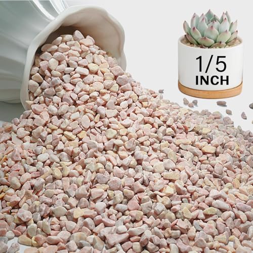 NUPICK 3 lbs Pebbles for Indoor Plants, 1/5 Inch Pea Gravel for Fish Tank