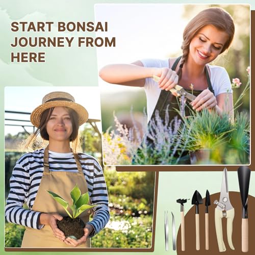 Kit de herramientas para bonsái Frienda 7 piezas miniatura 6
