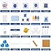 Anpro Kit de Ciencias para Niños,Experimentos Científicos para Niños,15 Experimentos Científicos, Kits...