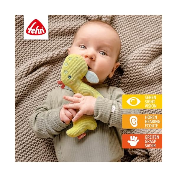 Fehn Baby Ring Greifling Dino - Motorikspielzeug mit Rassel - Kuscheltier Spielzeug für das spielerische frühkindliche Lernen - Babyspielzeug & treuer Begleiter für Babys und Kleinkinder ab 0+ Monaten – Bild 3