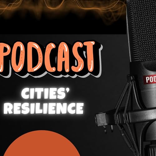 Cities and Resilience Titelbild