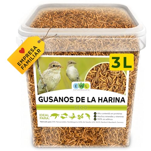 EWL Naturprodukte Gusanos de la harina Secos, 3L (460g) Snack para pájaros, Peces, Tortugas, roedores y Reptiles …