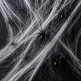 Zoom IMG-1 aliga halloween ragnatela per in Zoom IMG-1 aliga halloween ragnatela per in