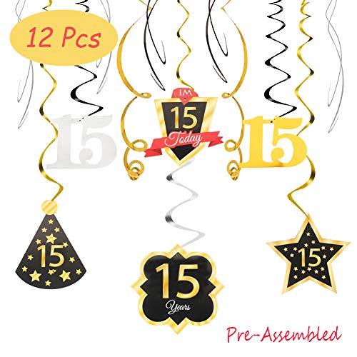 15 Birthday Decoration Happy 15th Birthday Party Silver Black Gold Foil Hanging Swirl