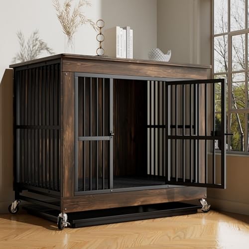 _ȎAƋLX^[thbOnEXAACAEbh2in1pP[W(Brown,Medium)