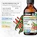 BIO KRAUTER® Sarsaparilla Root for Liver Support - Vegan & Pure Liver Supplement for Cleanse 680 mg per Serving - Natural Sarsaparilla Extract - 4 Fl.Oz 56-Day Supply, Alcohol & Sugar Free