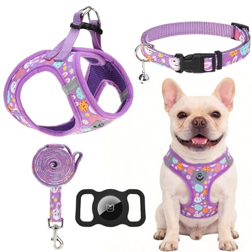 EXPAWLORER Easter Small Dog Harness - Dog Collar and Leash Set - Soft Mesh Padded Adjustable Step in Puppy Vest Harness No Pull, Reflective Escape Proof for Outdoor Walking, Bunny Egg M