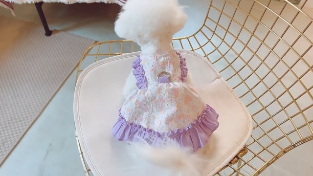 Amazon Live - Purple Lace Dress