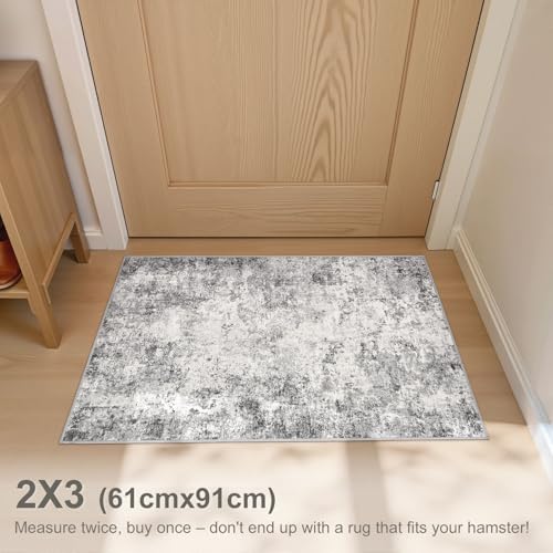 2x3 Entryway Area Rug: Washable Neutral Modern Abstract Small Rug - Non-Slip Low Pile Throw Indoor Carpet for Entrance Kitchen Front Door Mat Bathroom Entry Kids Room - Grey