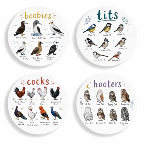 Set of 4 Ceramic Drink Coasters with Holder Gift Funny Whimsical Birds Collection Chickens Owls