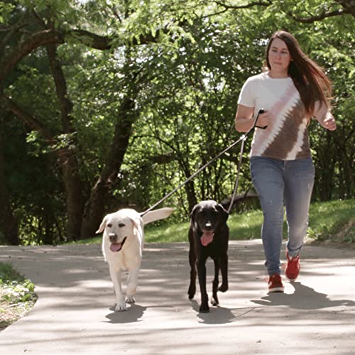 Caldwell's Dual Dog Leash Double Dog Leash 360° Swivel No Tangle Dog Walking & Training Leash Comfortable Cushioned Handle Black #TOP6