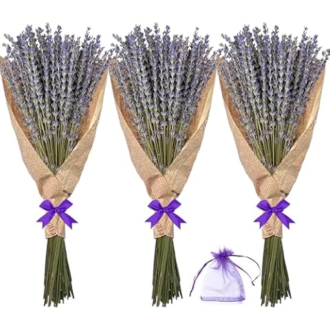 Dried Lavender Flowers Bundles, Natural Dry Lavender Flowers 220-240 Stems 16'' for Vase Home Wedding Party Decoration Arrangements Fragrance 3 Bundles Cover