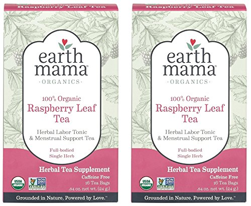 Earth Mama Organic Raspberry Leaf Tea Bags for Labor Tonic and Menstrual Support (Raspberry Leaf, 16-Count (2-Pack))