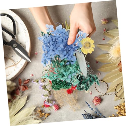 Kit de Flores Secas Naturales para Manualidades 1pack miniatura 2