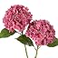 Rose Red-2pcs