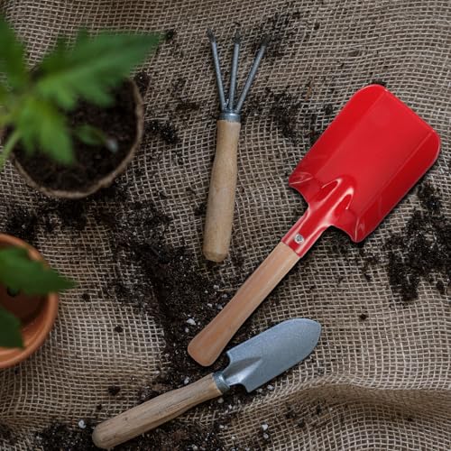 Palita de Jardín Pequeña con Cabeza Roja Cuadrada miniatura 4