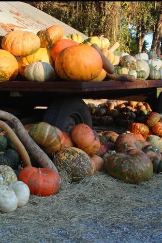 Como iniciar sua horta de A a Z: Lucre com horta! Lucre mais com ...