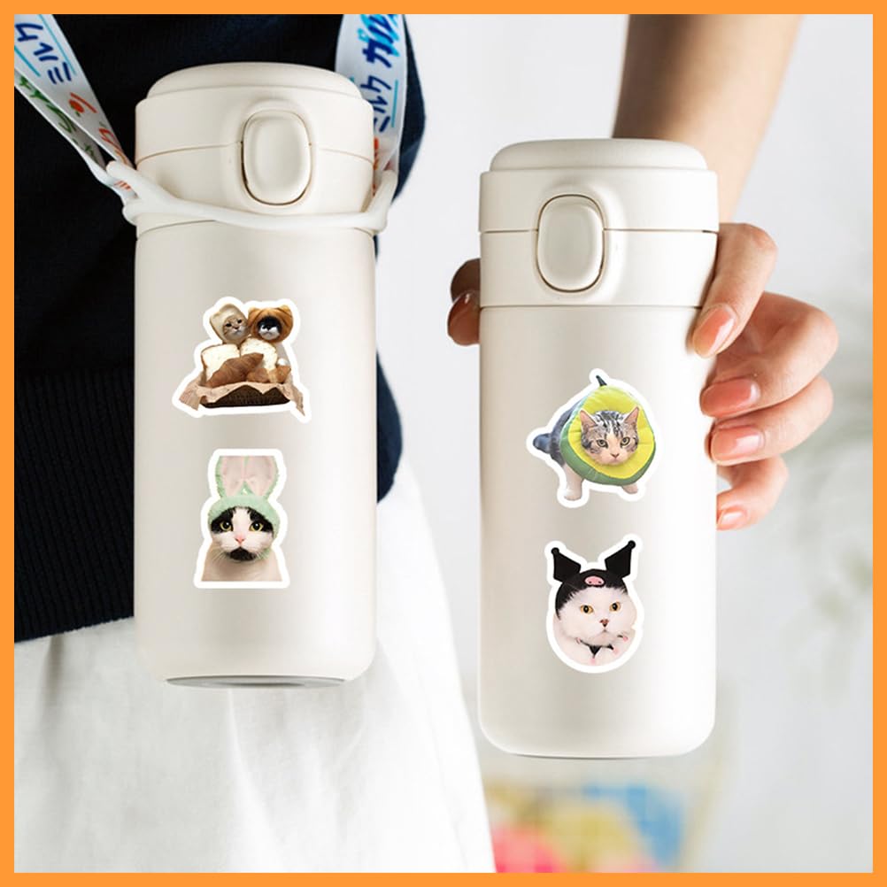 Set 100 Adesivi Divertenti Per Gatti - In Vinile Impermeabile, Per Decorare Bottiglie, Laptop E Telefoni - Foto 3