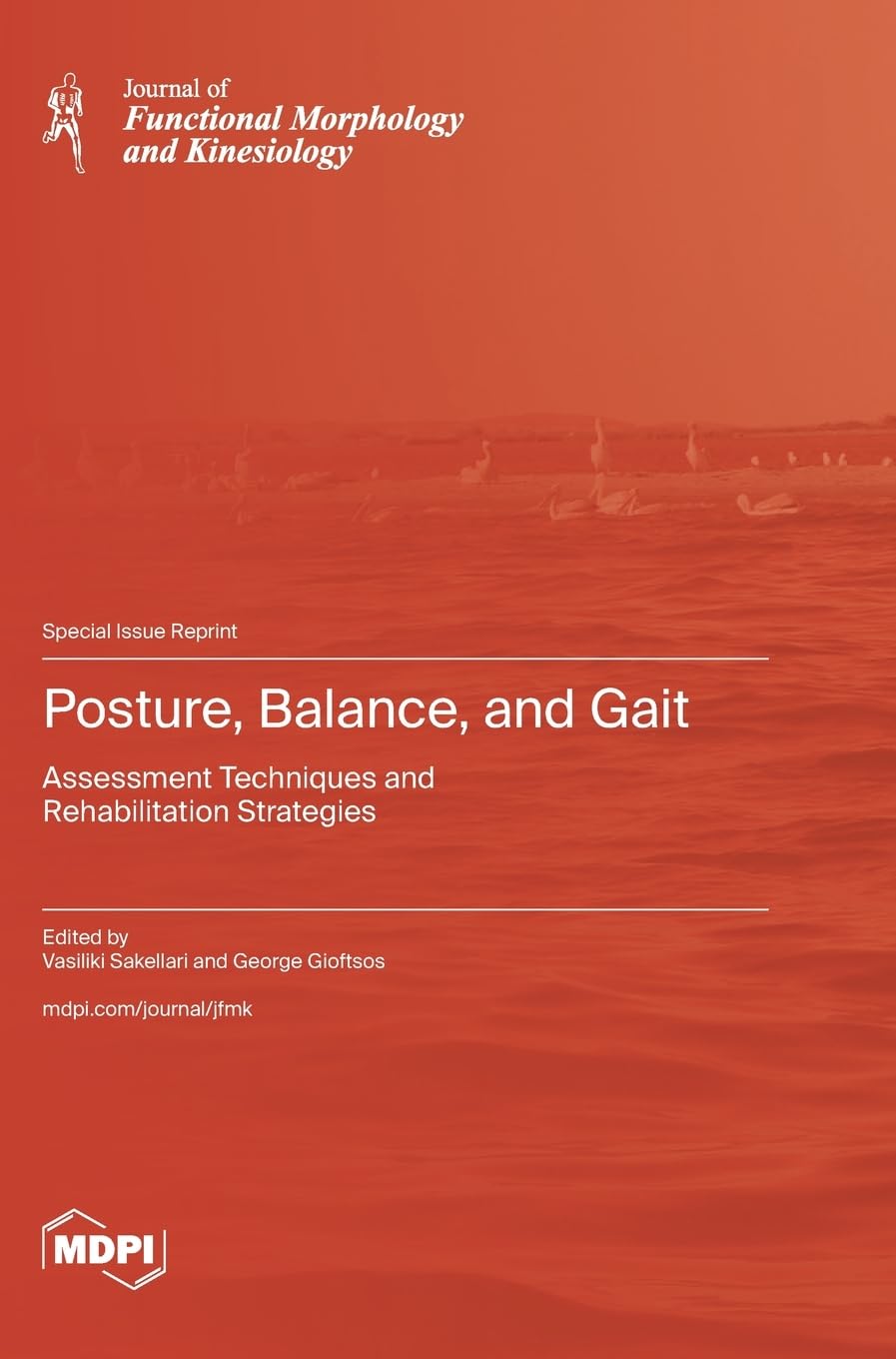 Posture, Balance, and Gait: Assessment Techniques and Rehabilitation Strategies