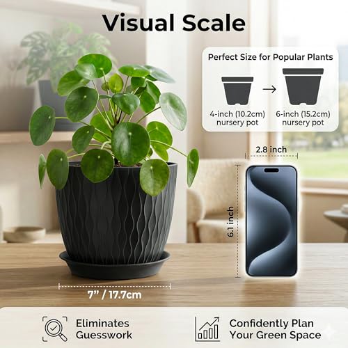 Image of Eightiz (Pack of 5 6 Inch Plastic Flower Pots for Indoor & Outdoor Terrace,Garden Plants Decorative Planters with Drainage Holes & Matching Saucers Durable & Lightweight (Black)