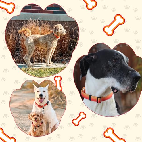 Arblina Martingale Hundehalsband, Reflektierendes Zugstopp Halsband Hunde für Große Mittlere und Kleine Hunde, Nylon Zughalsband mit Stopp für Hunde Whippets, Greyhounds, Saluki, Orange,L