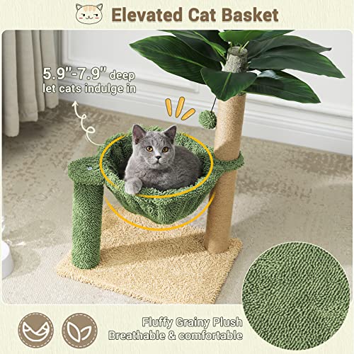 Msmask Cat Scratching Post With Leisure Hammock, Cat Tree With Artificial Palm Leaves, Outdoor Experiences For Indoor Cats And Kittens, Dangling Ball, Cozy Plush #TOP3