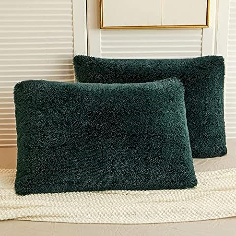 LIFEREVO 2 Pack Shaggy Plush Faux Fur Decorative Throw Pillow Cover Velvety Soft Cushion Case (Dark Green, 20"x26") Cover