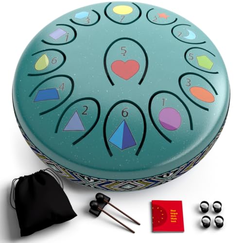 REGIS Rain Drum for Outside Garden – Steel Tongue Drum, Waterproof Meditation Rain Chime...