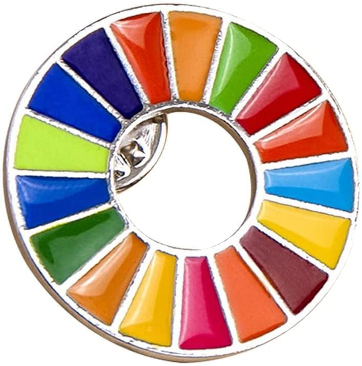Genericthe Sustainable Development Goals Brooch United Nations