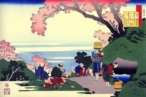 Affiche Katsushika Hokusai pour salon : toile serpent 60x90cm