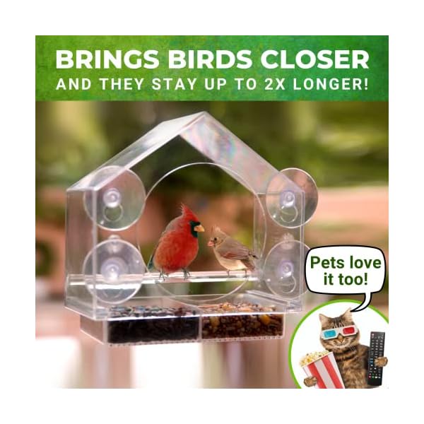 Nature Wherever Clear Acrylic Window Hen Feeders for Outside - Enhanced Suction Grip, Hen Expecting Cats, Simple-to-Clear, Outside Birdhouse Feeder - Image 4