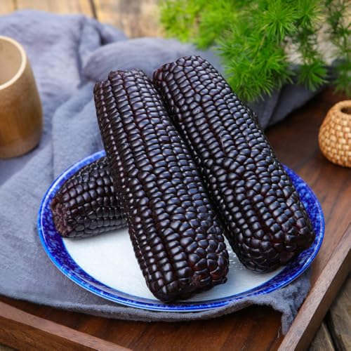 Semillas de maíz, semillas de maíz dulce, semillas de maíz, macetas, plantas de jardín semillas de hortalizas, plantas resistentes para el jardín Semillas de hortalizas, regalos para 25pcs