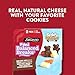 Sargento Fun! Balanced Breaks Natural Monterey Jack Cheese, Natural Flavored Mixed Fruit Snacks & TEDDY GRAHAMS Graham Snacks Cocoa Snack Kit, 2-Pack